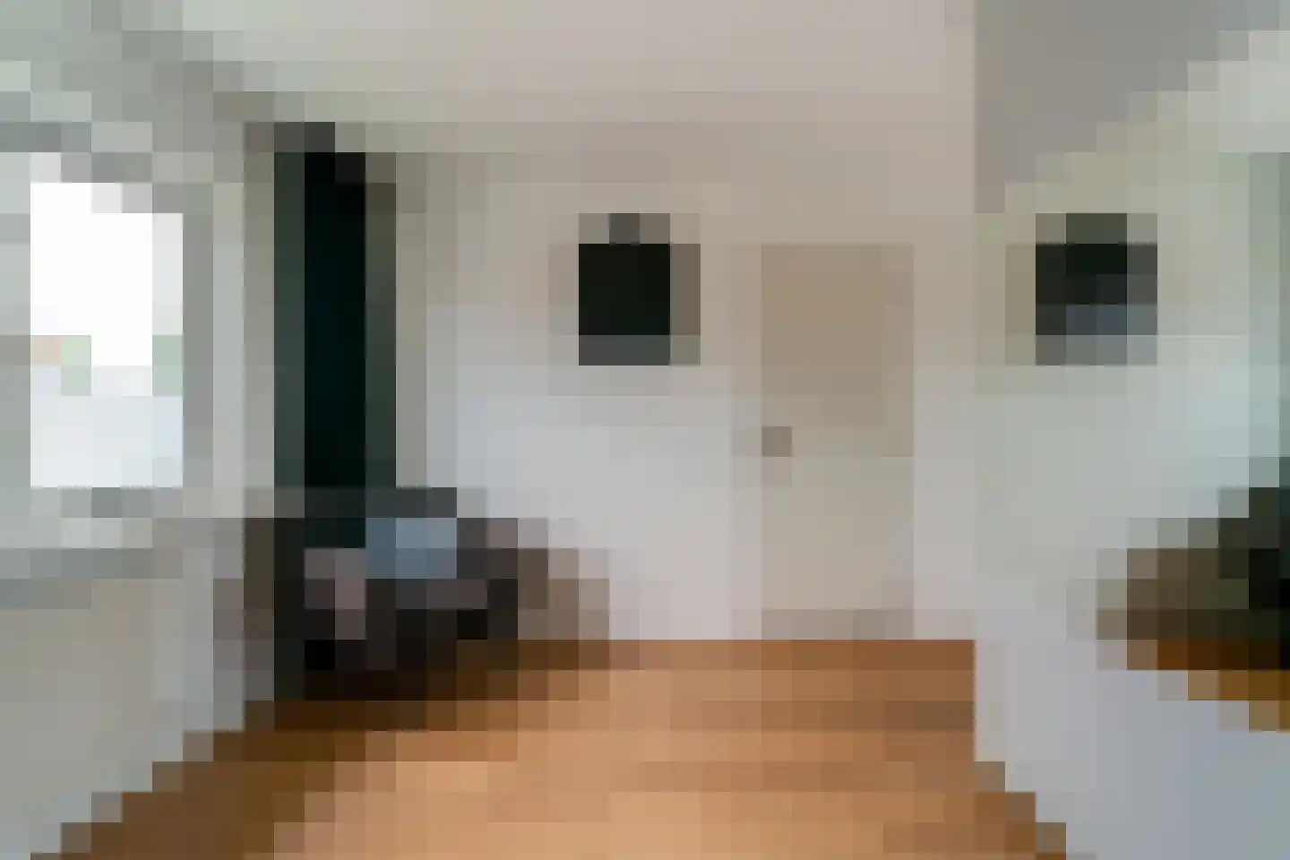 Rozenstraat 4 Giesbeek thumbnail 41