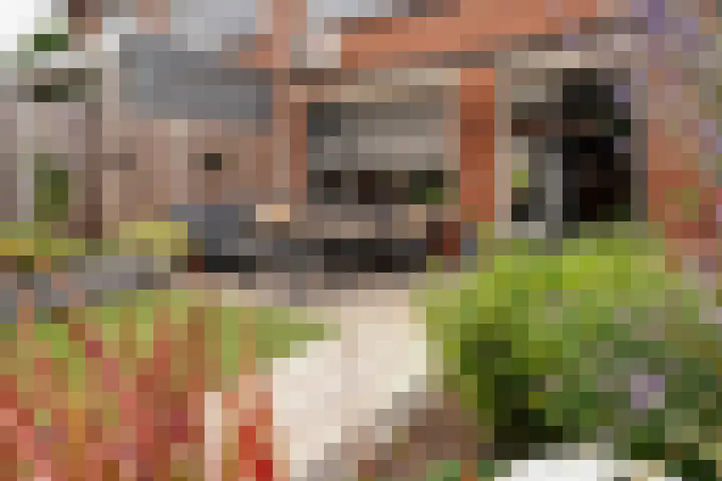 Rozenstraat 4 Giesbeek thumbnail 5