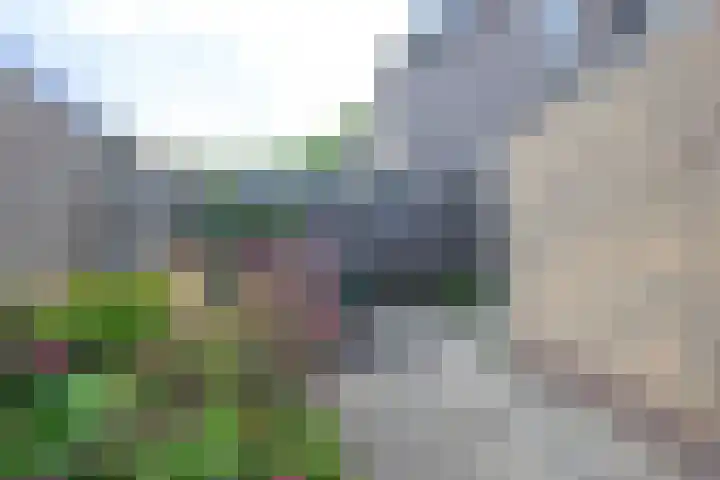 Rozenstraat 4 Waarland thumbnail 13