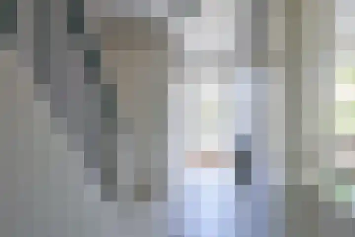 Rozenstraat 4 Waarland thumbnail 31