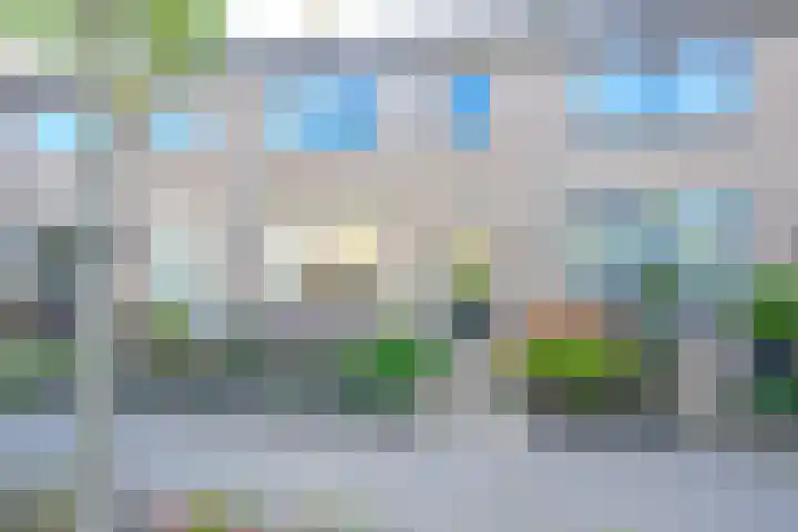 Rozenstraat 4 Waarland thumbnail 32