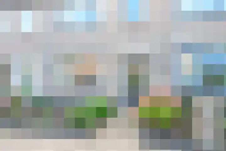 Rozenstraat 4 Waarland thumbnail 4