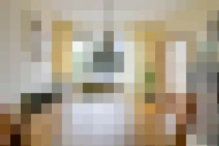 Rozenstraat 4 Waarland thumbnail 9