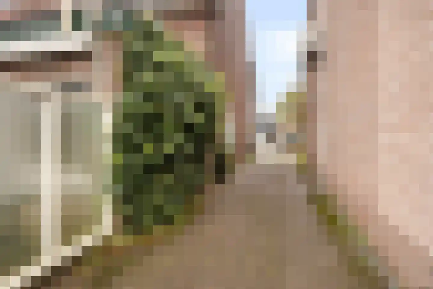 Rozenstraat 40 Deventer thumbnail 41