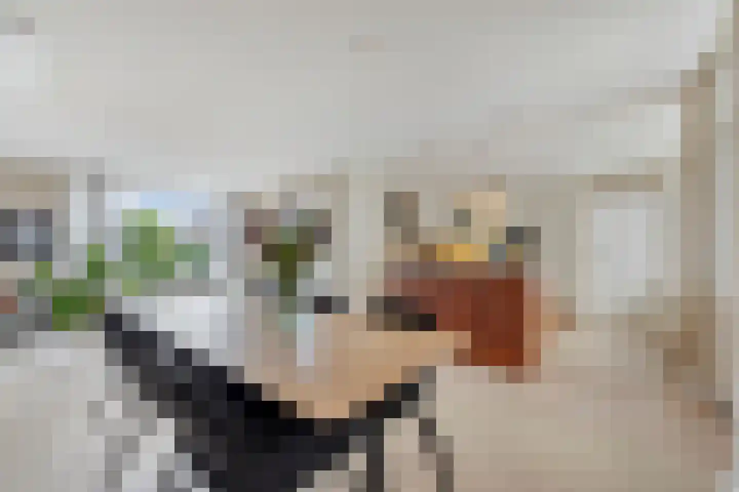 Rozenstraat 40 Didam thumbnail 11