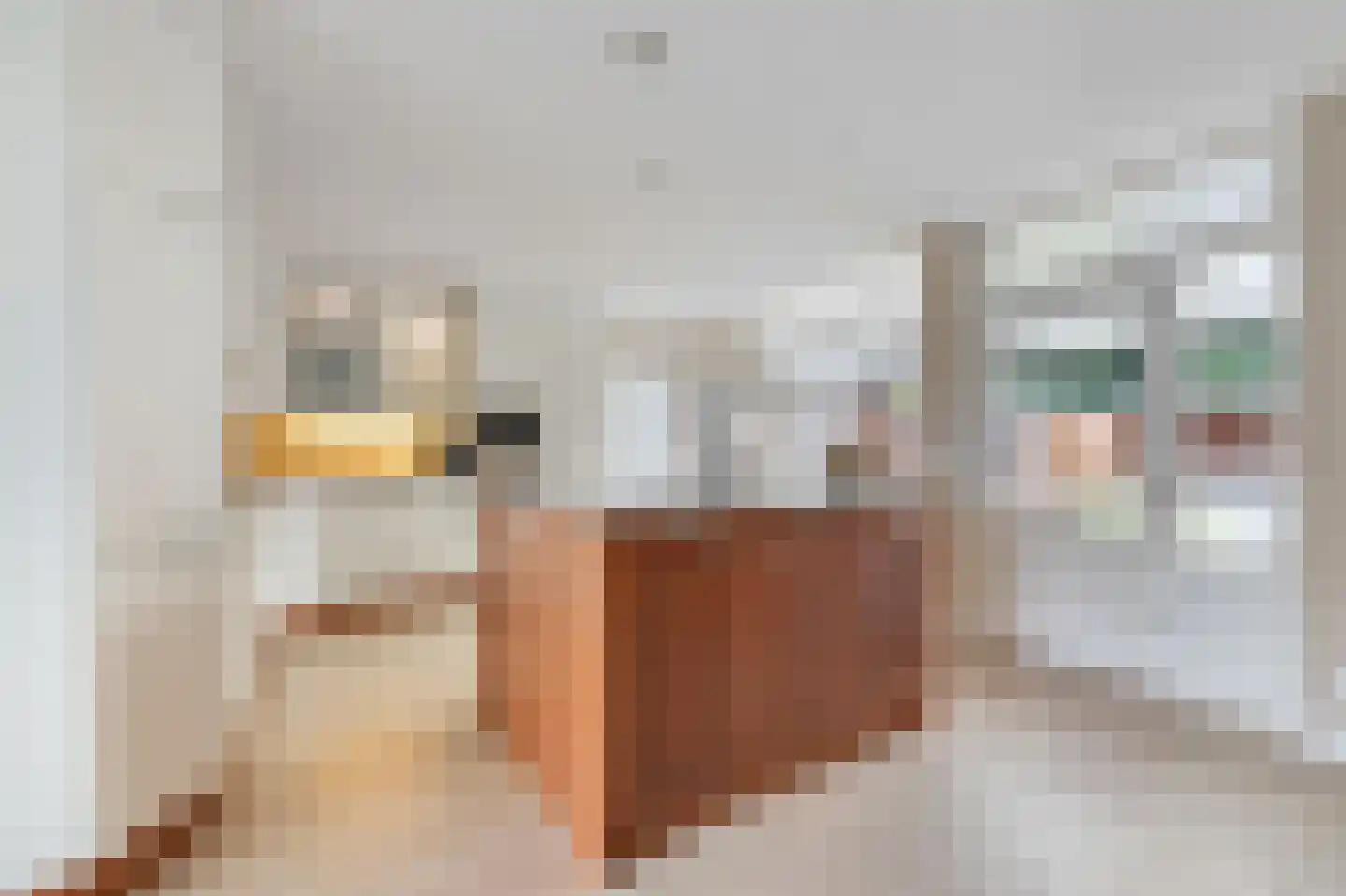 Rozenstraat 40 Didam thumbnail 12