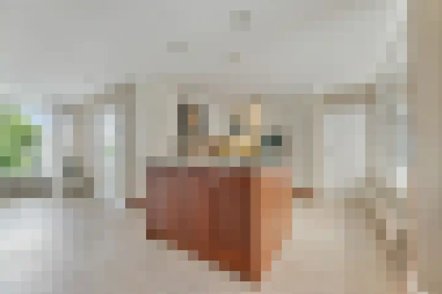 Rozenstraat 40 Didam thumbnail 13