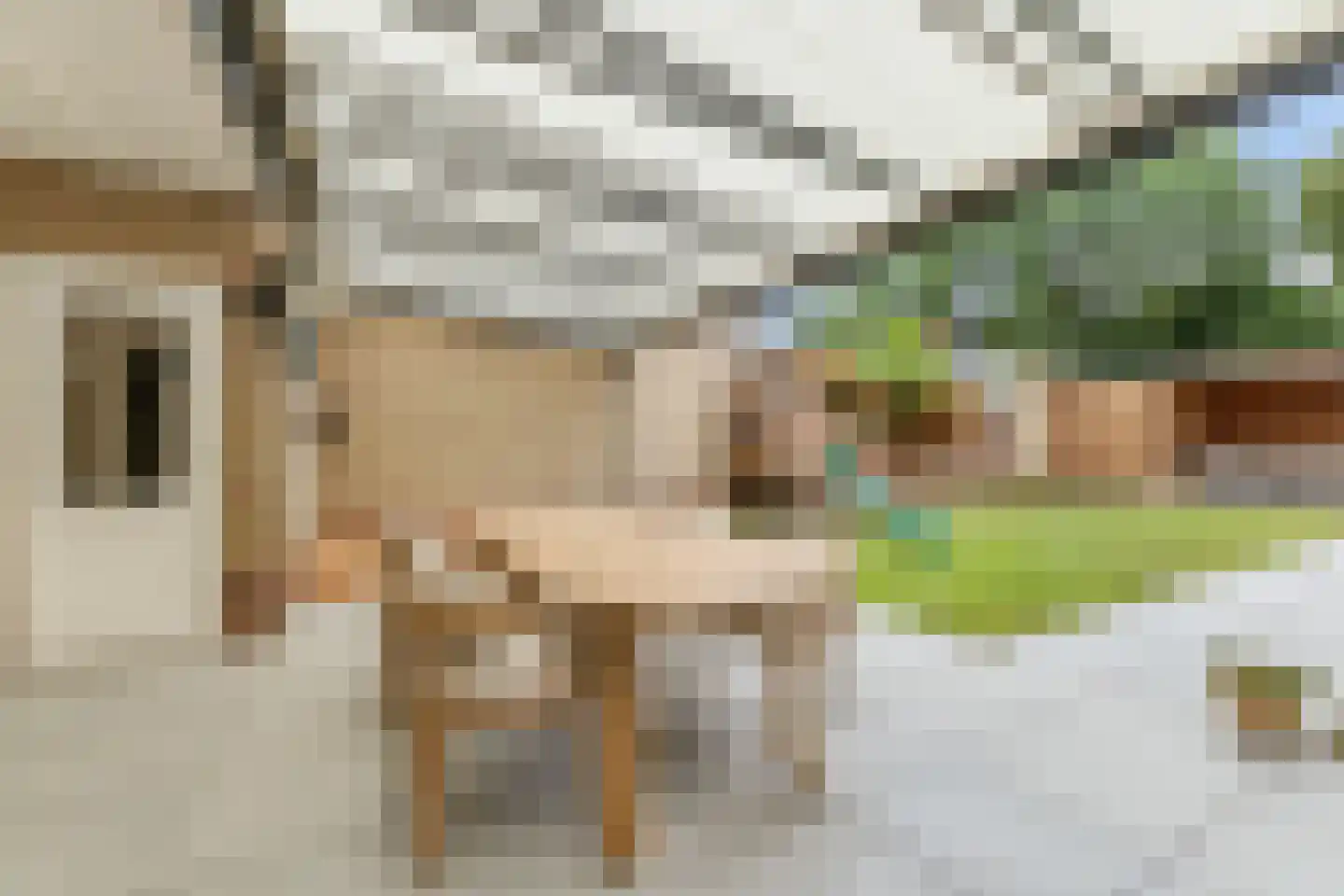 Rozenstraat 40 Didam thumbnail 31