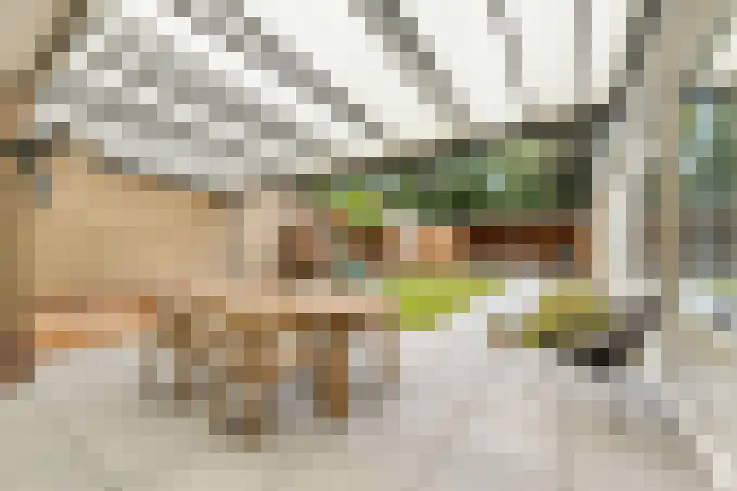 Rozenstraat 40 Didam thumbnail 4
