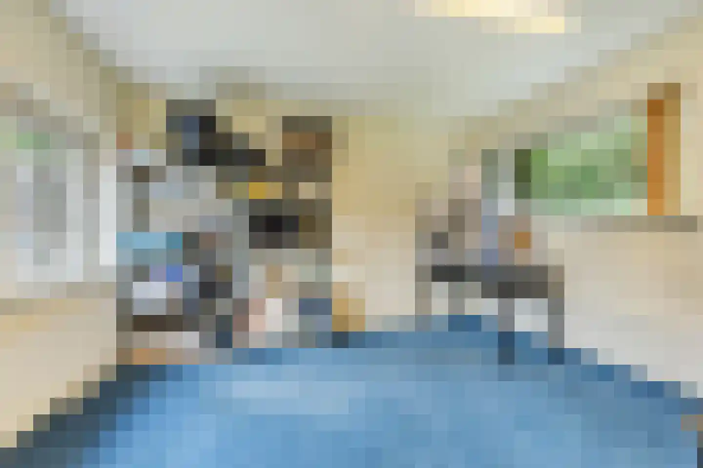 Rozenstraat 40 Didam thumbnail 40