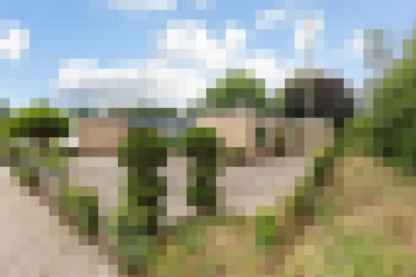 Rozenstraat 40 Didam thumbnail 42