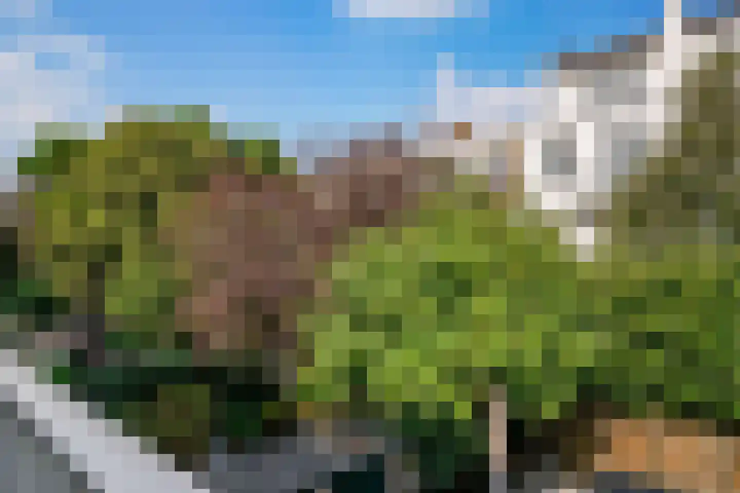 Rozenstraat 41 Den Haag thumbnail 17