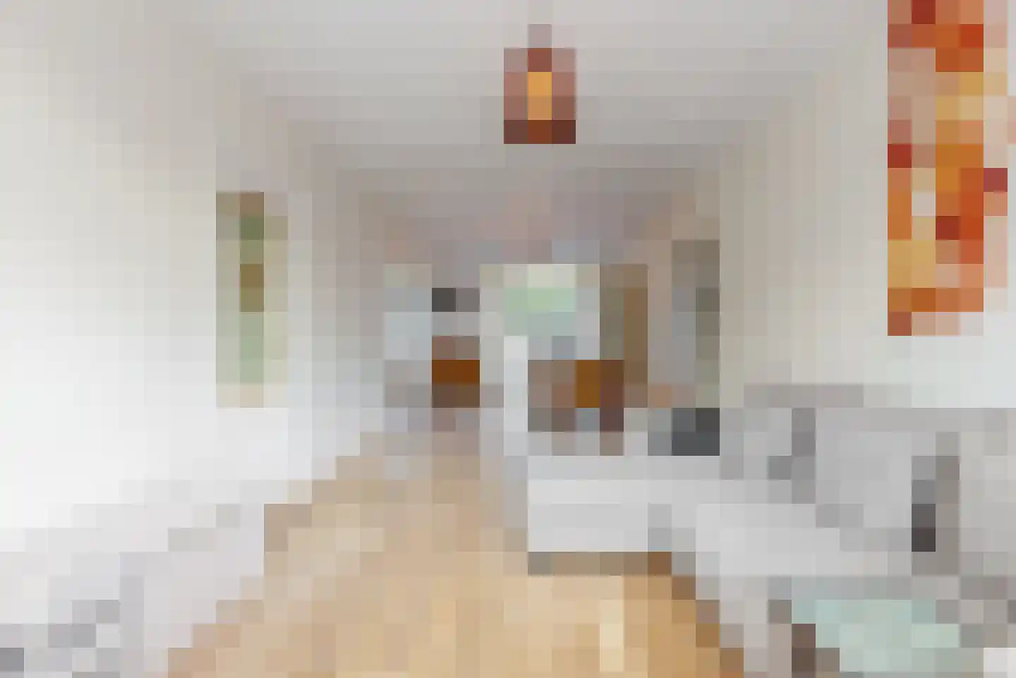 Rozenstraat 41 Den Haag thumbnail 4