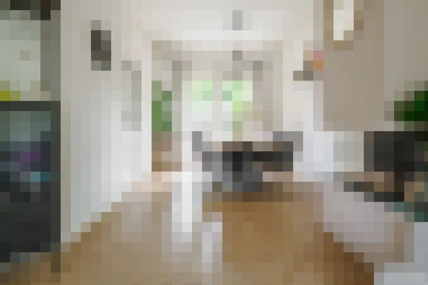 Rozenstraat 41 Hengelo thumbnail 10