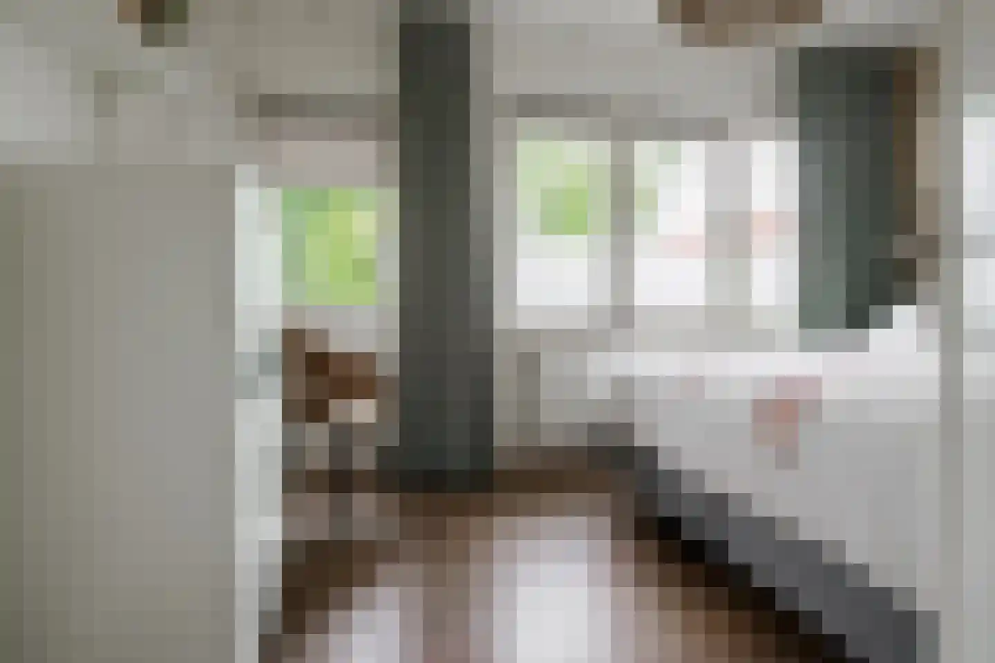 Rozenstraat 41 Hengelo thumbnail 16