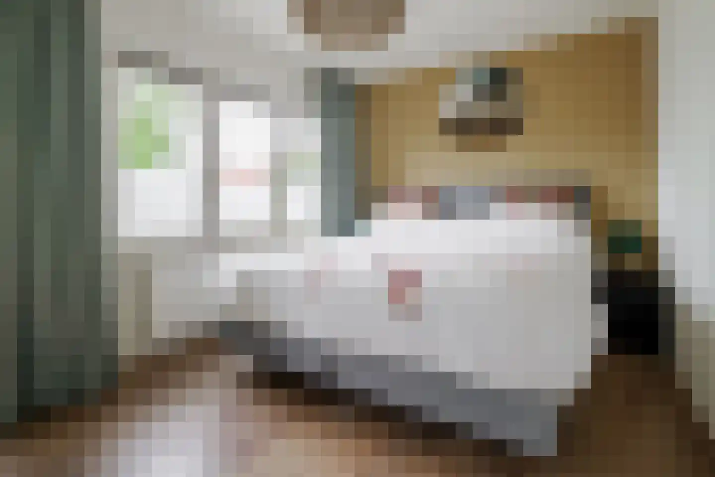 Rozenstraat 41 Hengelo thumbnail 17