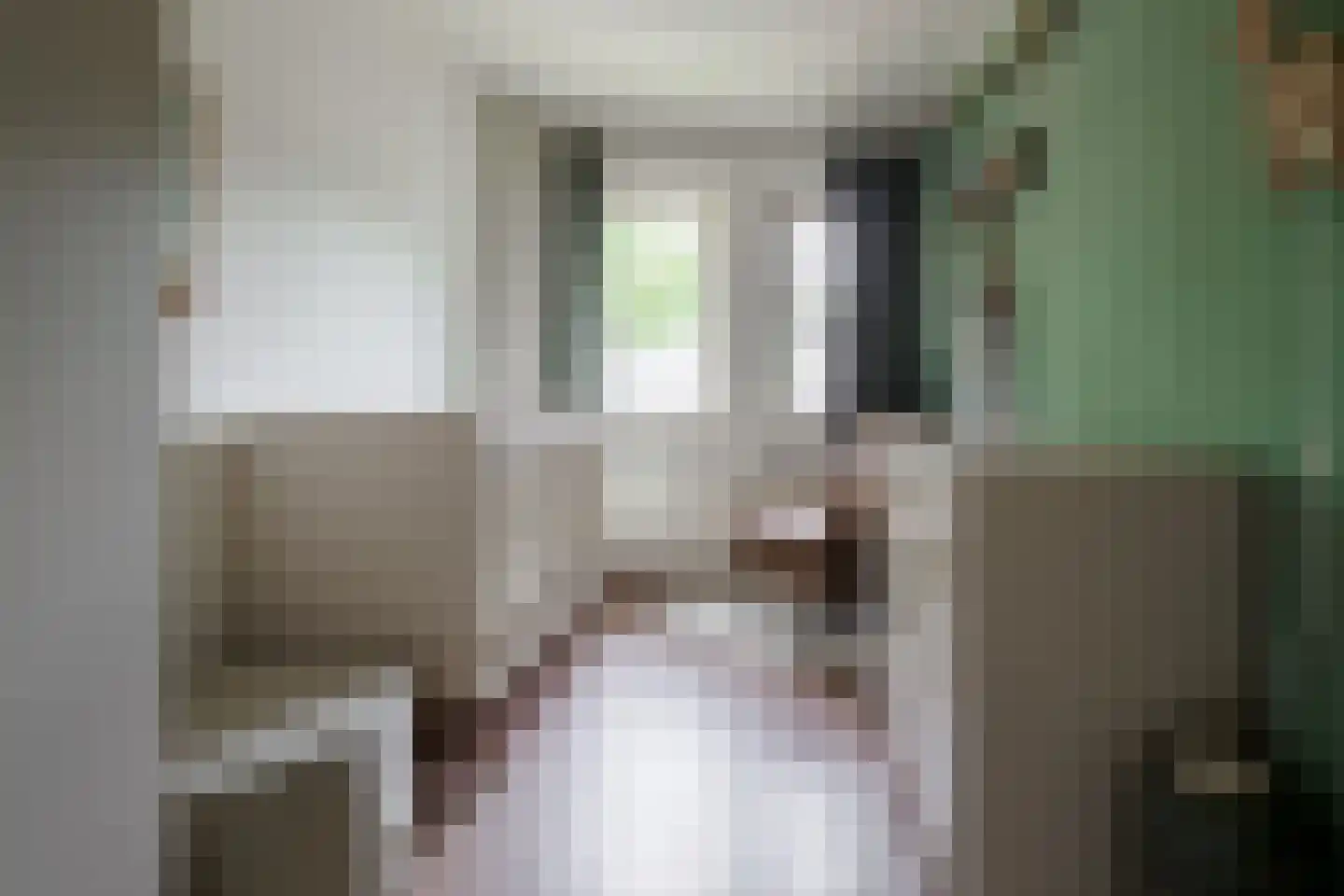 Rozenstraat 41 Hengelo thumbnail 20