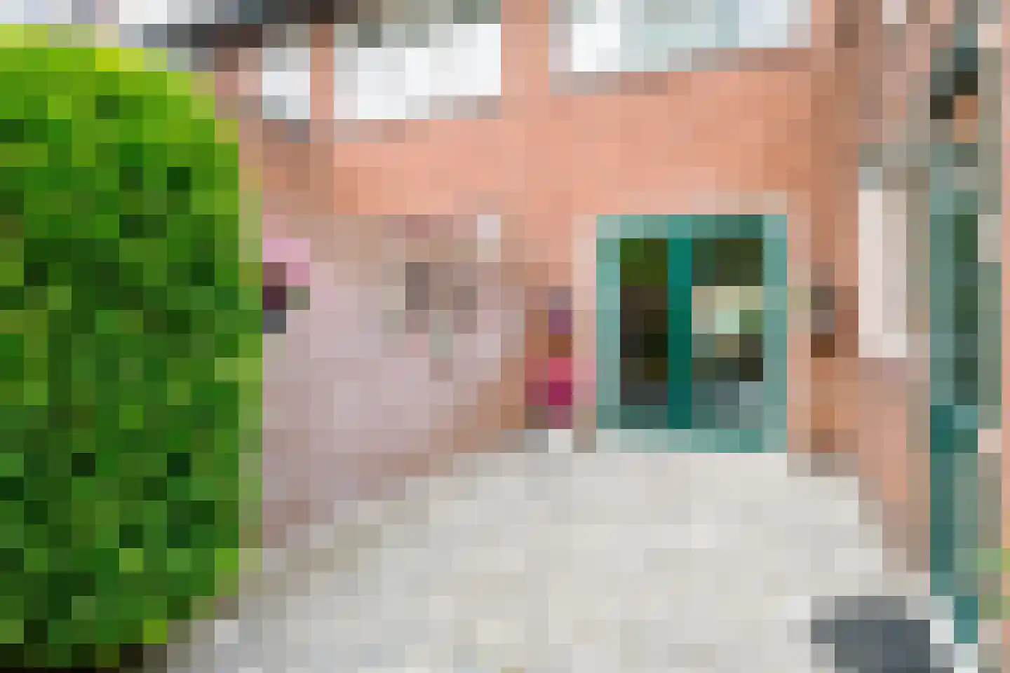 Rozenstraat 41 Hengelo thumbnail 27