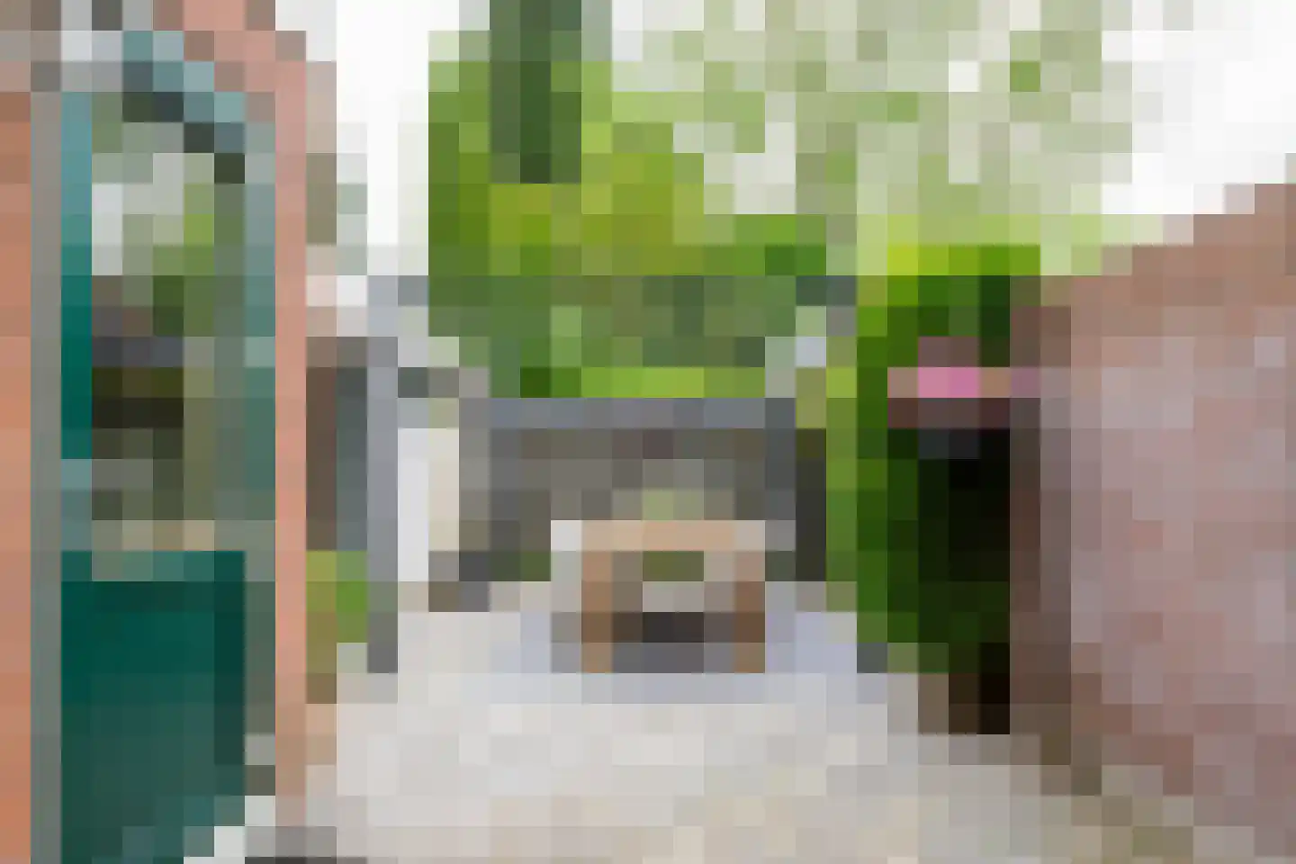 Rozenstraat 41 Hengelo thumbnail 29