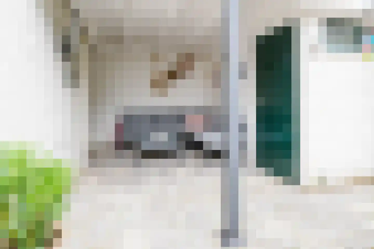Rozenstraat 41 Hengelo thumbnail 31