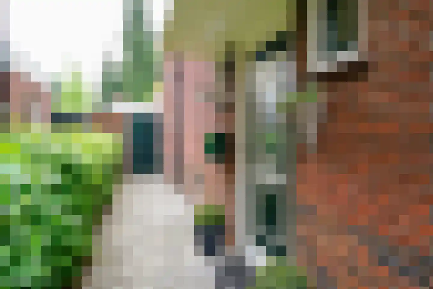 Rozenstraat 41 Hengelo thumbnail 40