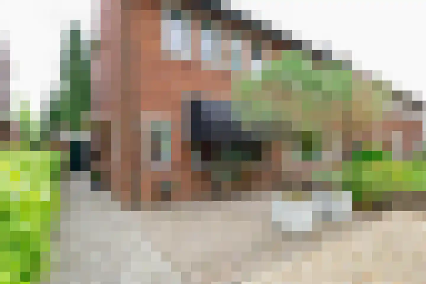 Rozenstraat 41 Hengelo thumbnail 42