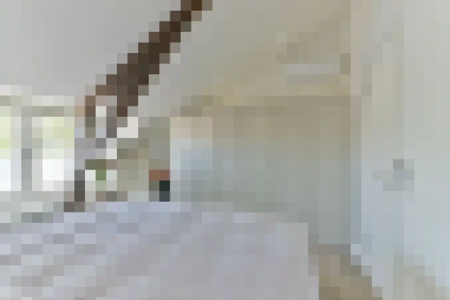 Rozenstraat 41 Zeist thumbnail 26