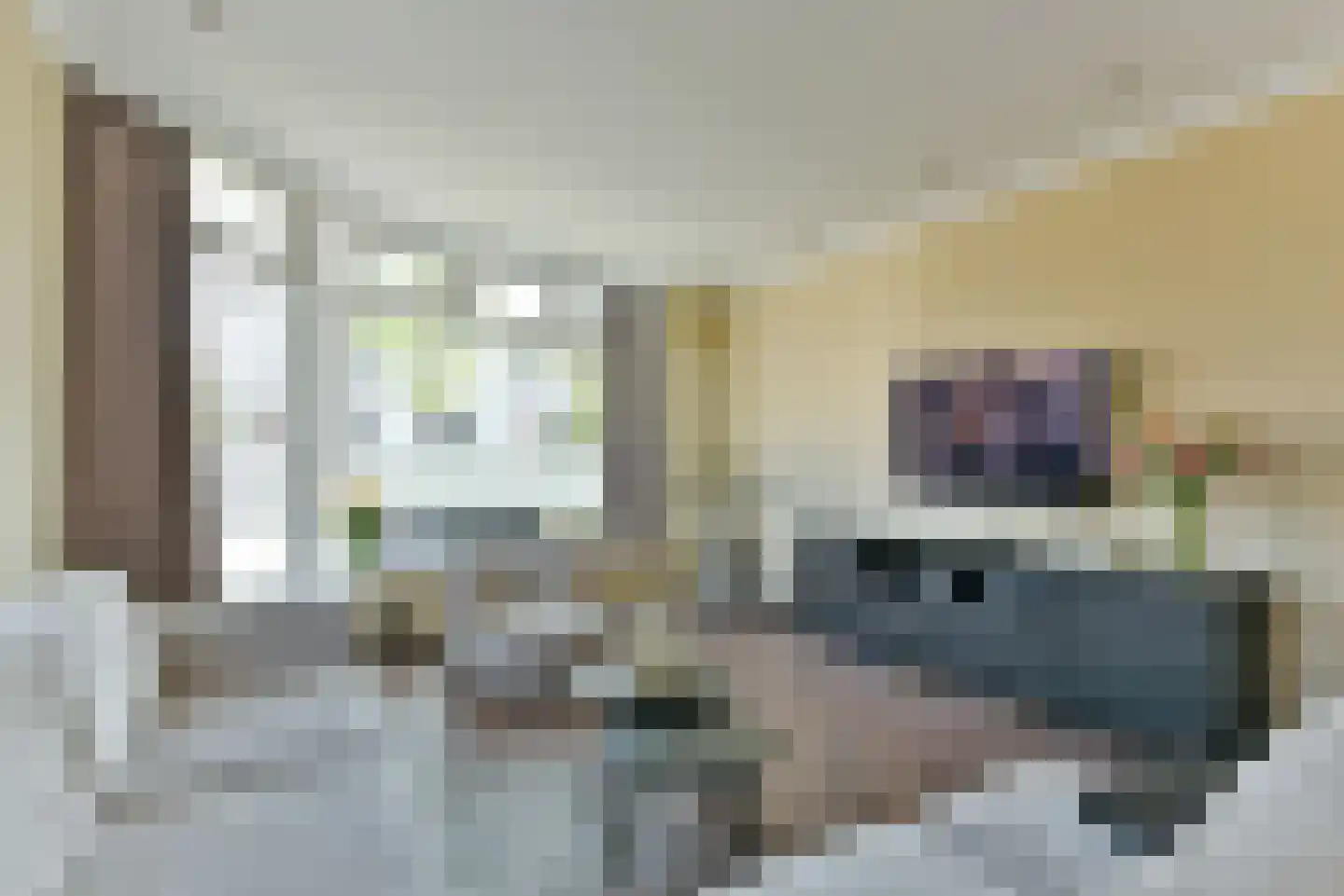 Rozenstraat 41 Zeist thumbnail 5