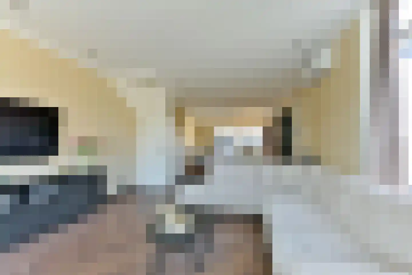 Rozenstraat 41 Zeist thumbnail 9