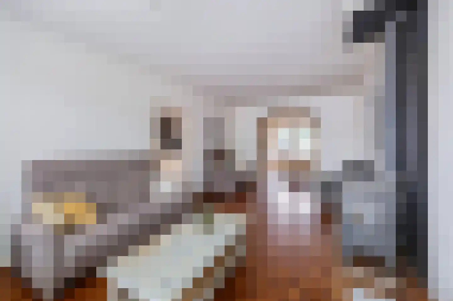 Rozenstraat 42 Echt thumbnail 12