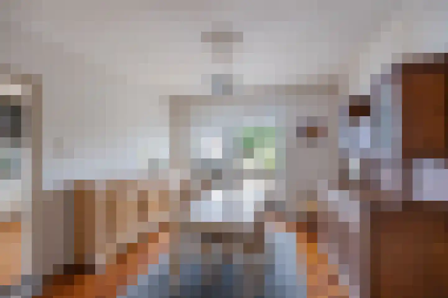 Rozenstraat 42 Echt thumbnail 18