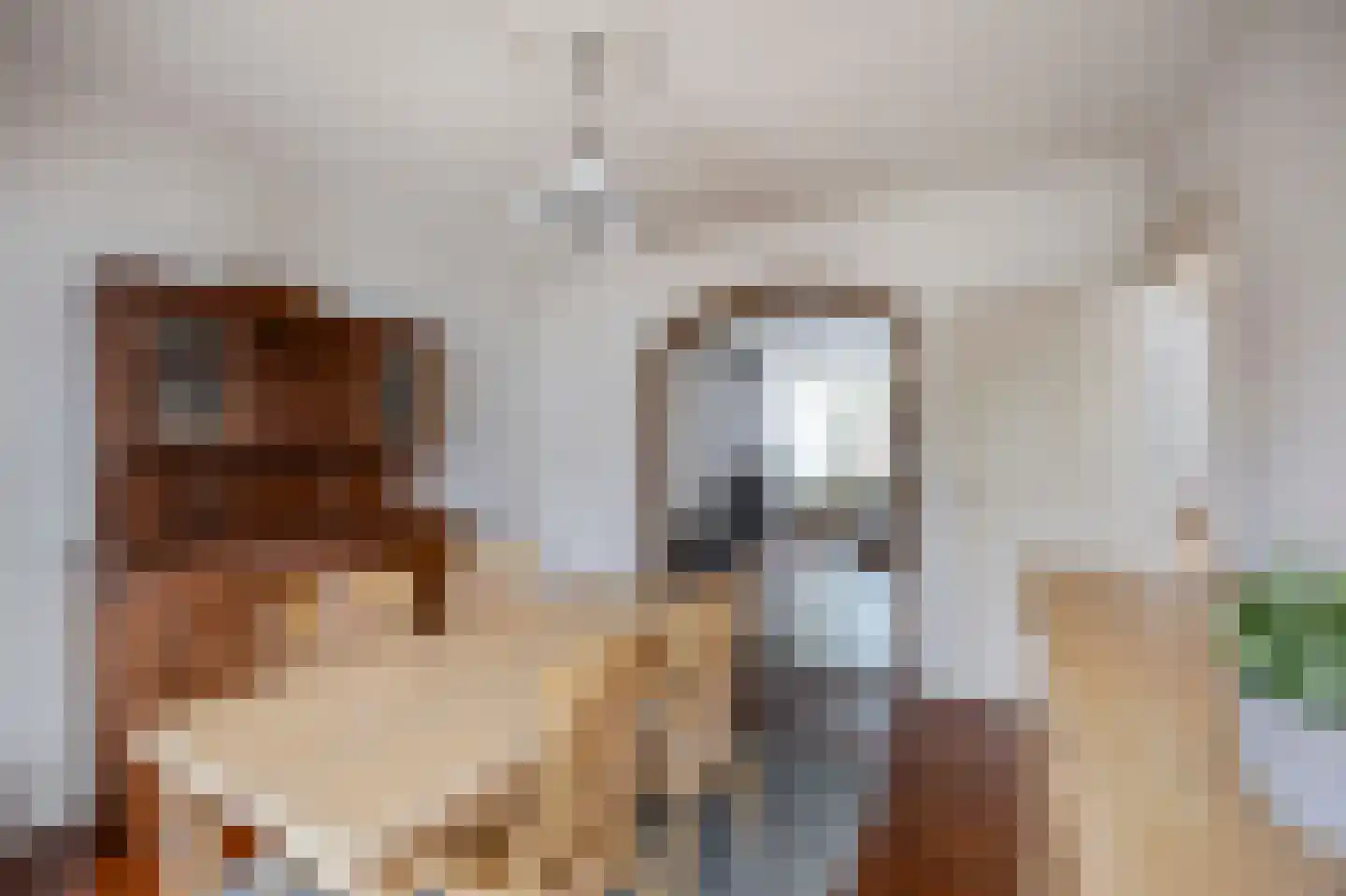 Rozenstraat 42 Echt thumbnail 19
