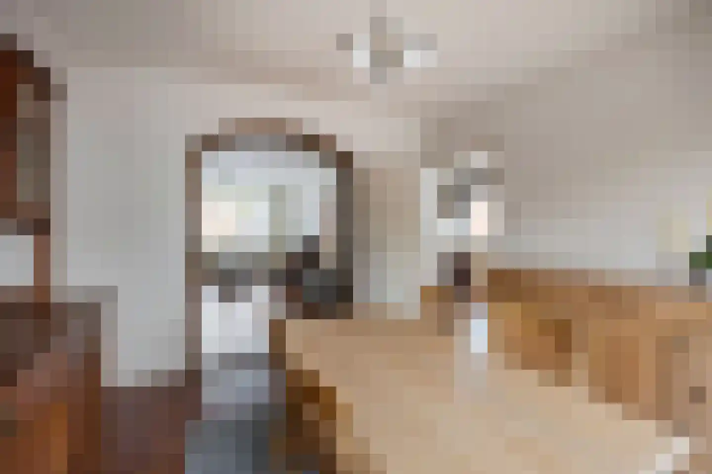 Rozenstraat 42 Echt thumbnail 20