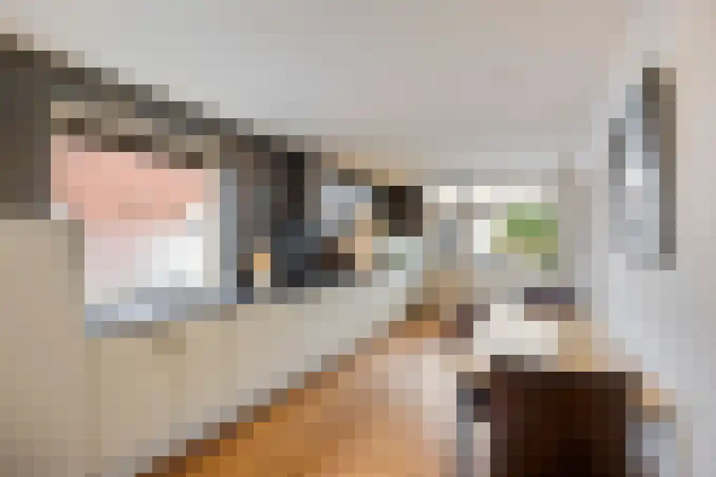 Rozenstraat 42 Echt thumbnail 23