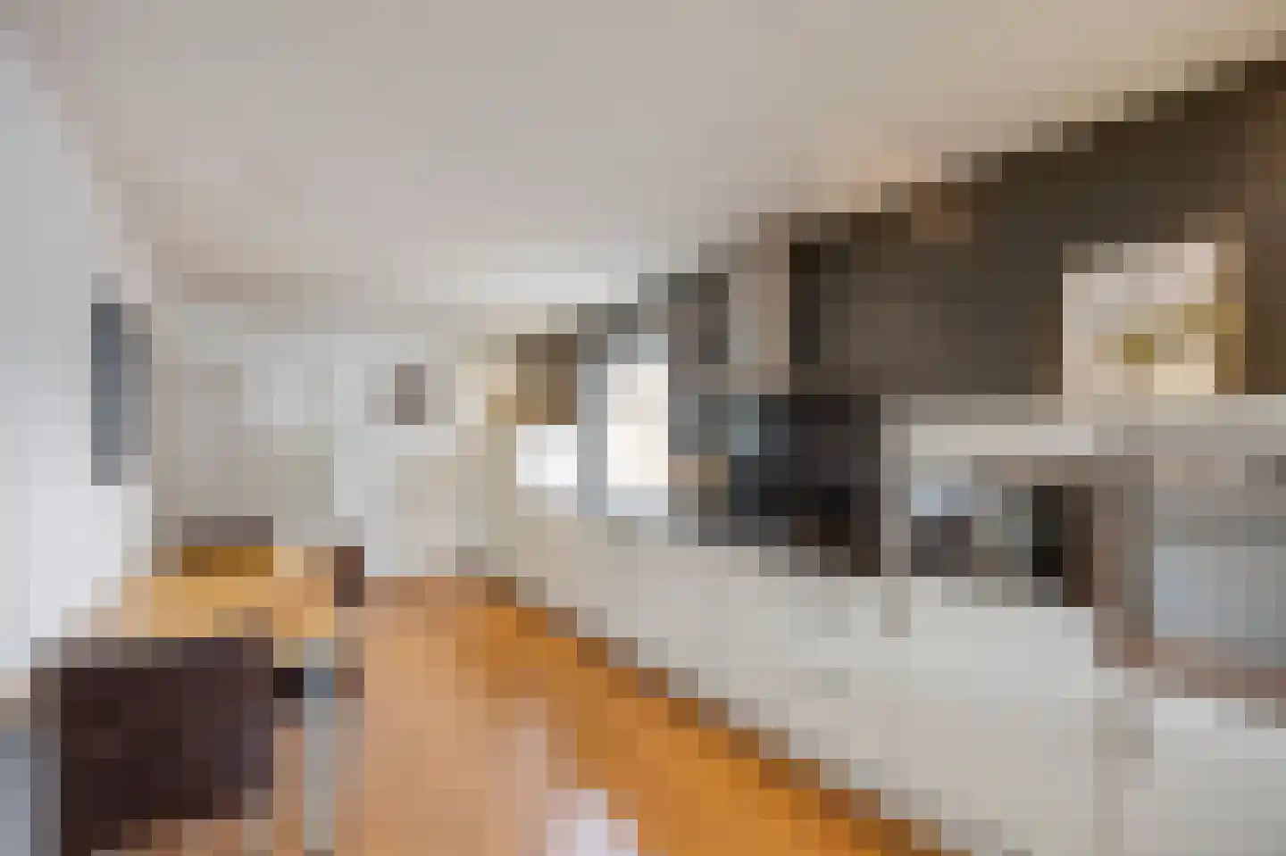 Rozenstraat 42 Echt thumbnail 26