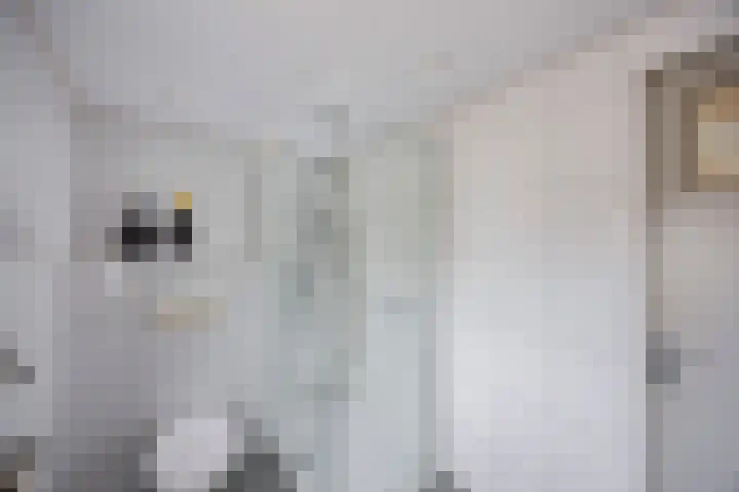 Rozenstraat 42 Echt thumbnail 37