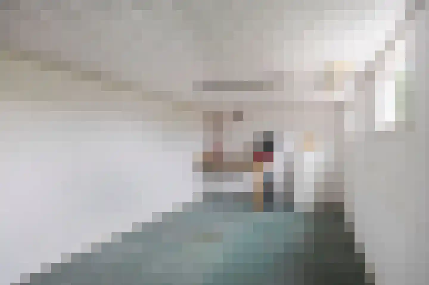 Rozenstraat 42 Echt thumbnail 39
