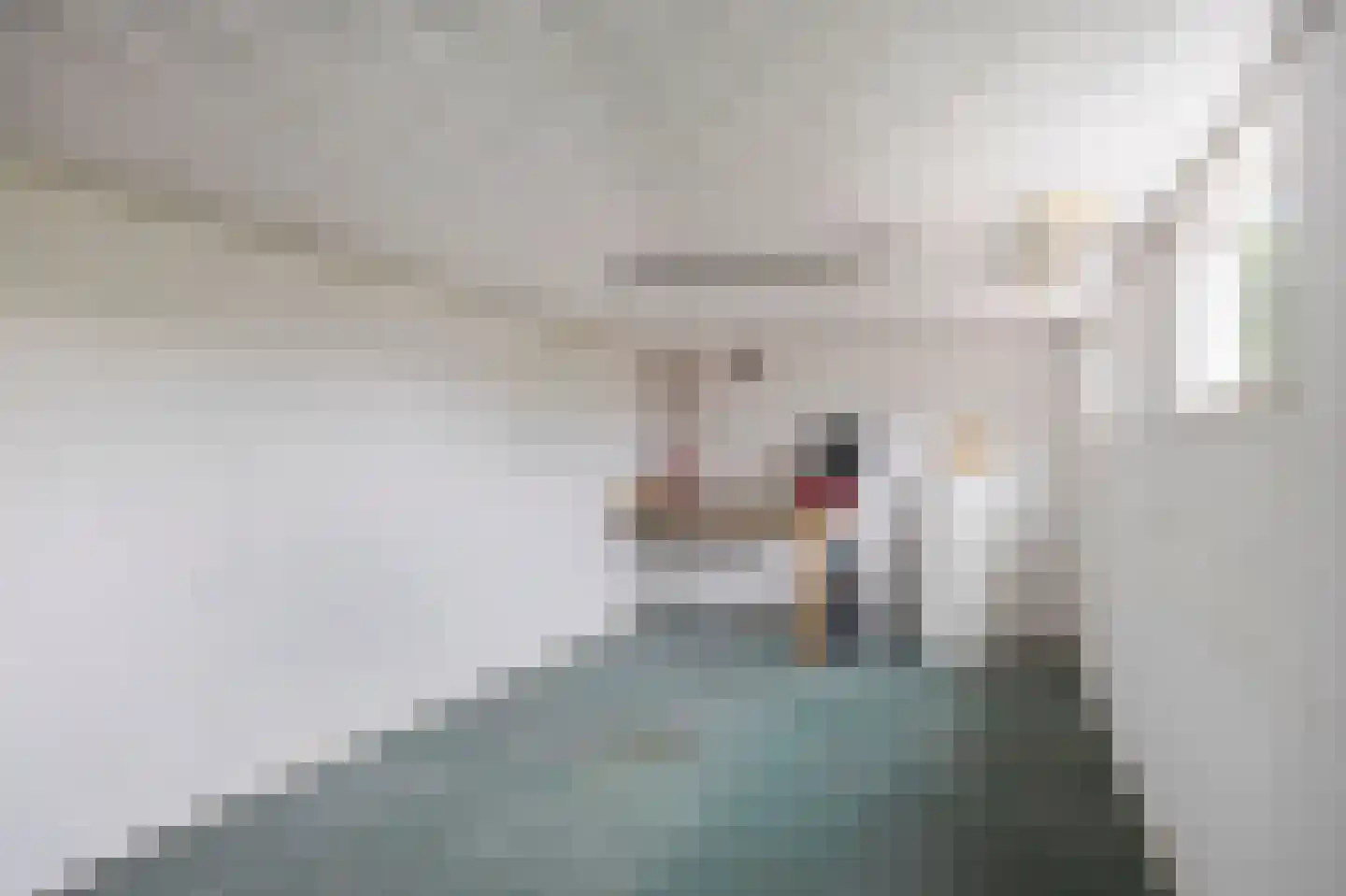 Rozenstraat 42 Echt thumbnail 39