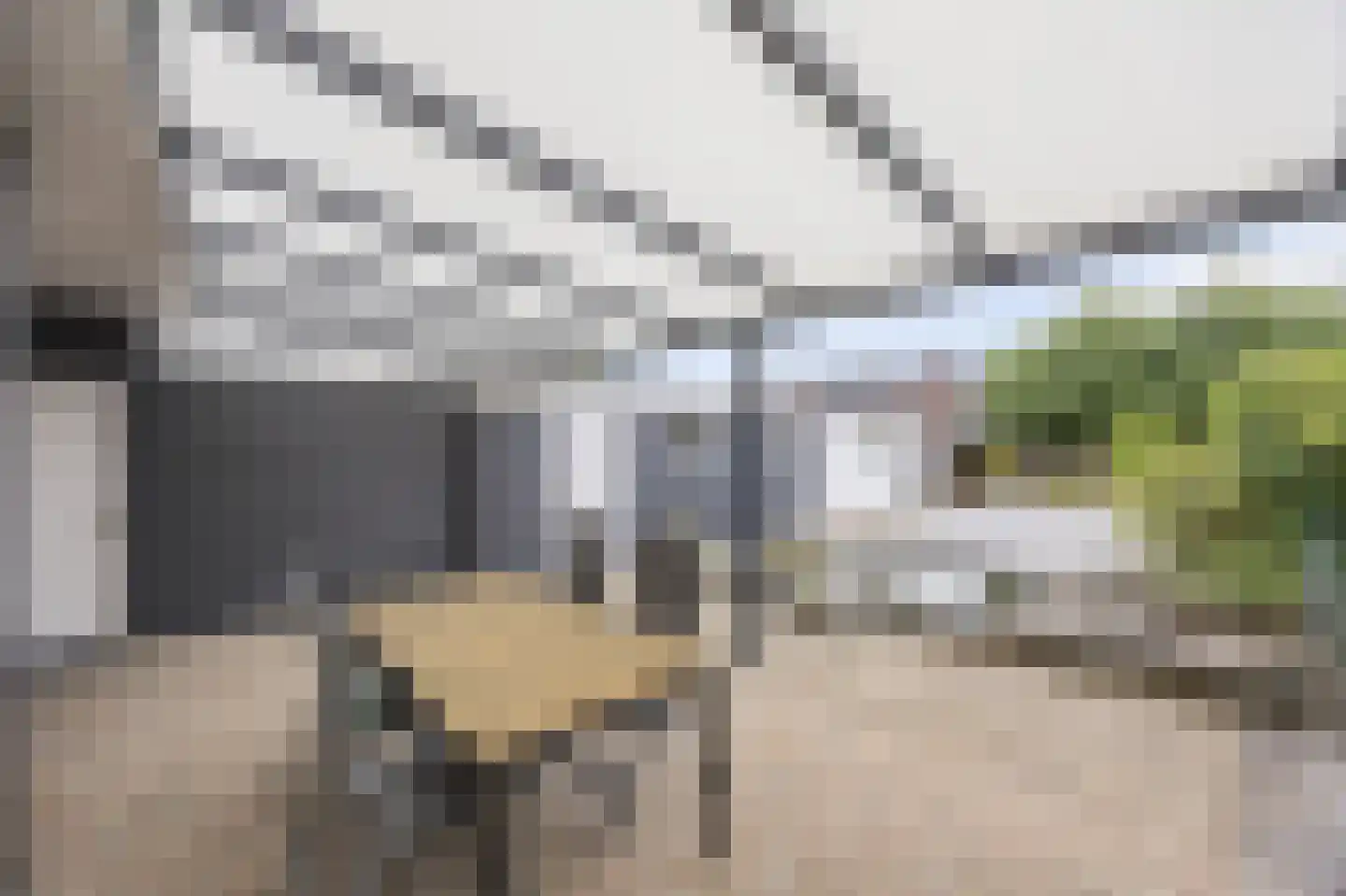 Rozenstraat 42 Echt thumbnail 4