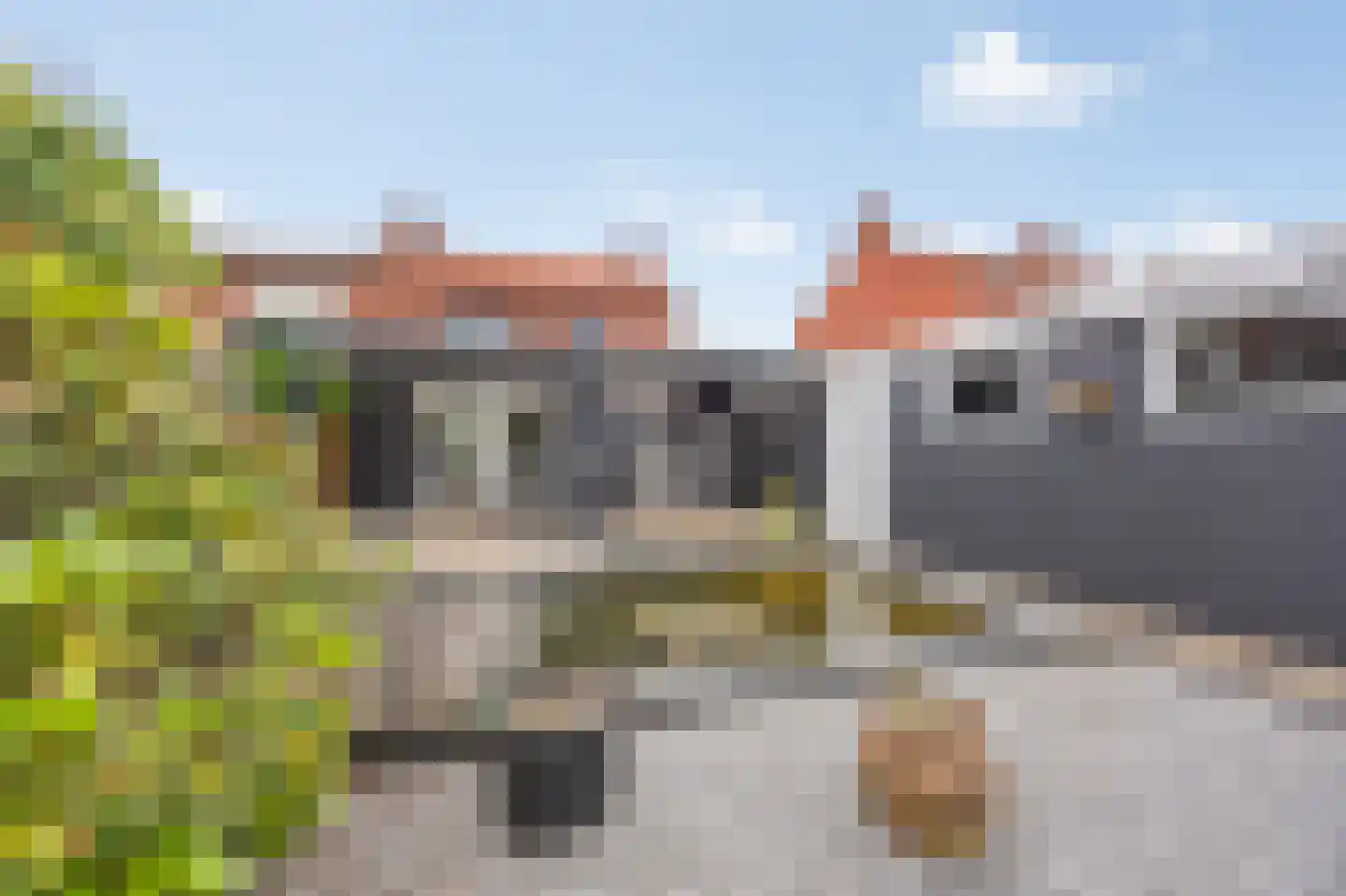 Rozenstraat 42 Echt thumbnail 46