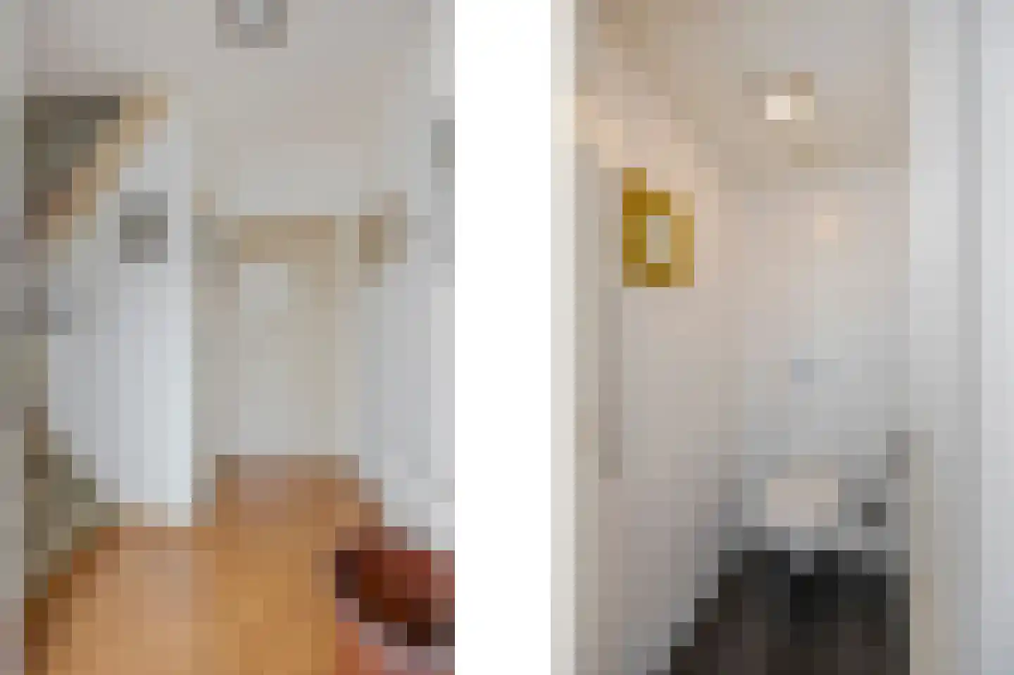 Rozenstraat 42 Echt thumbnail 9