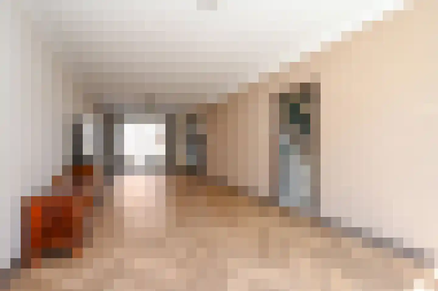 Rozenstraat 42 Rijswijk thumbnail 10