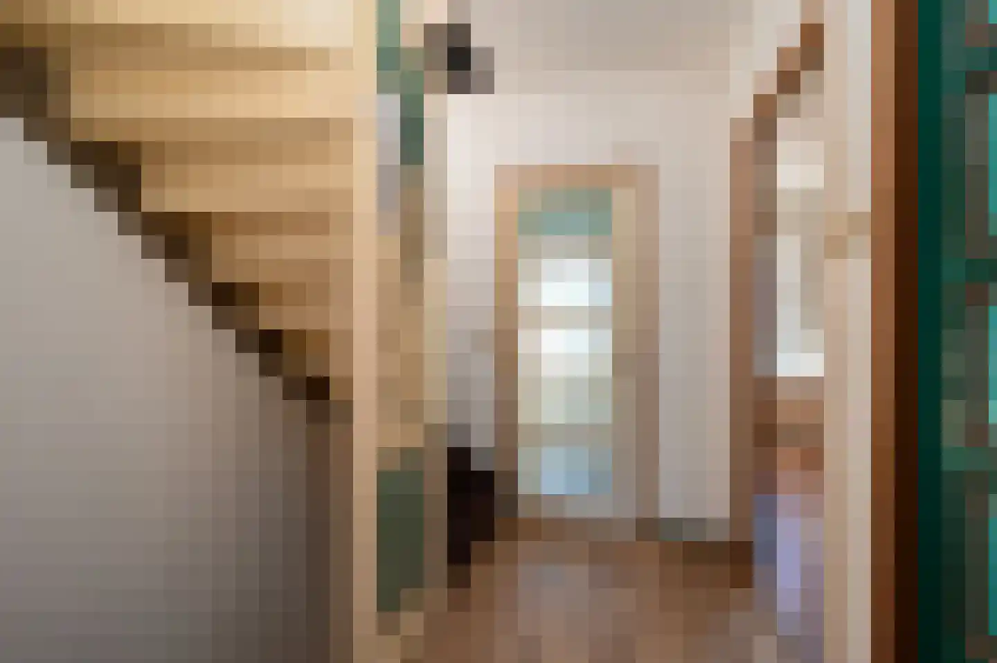 Rozenstraat 42 Rijswijk thumbnail 18