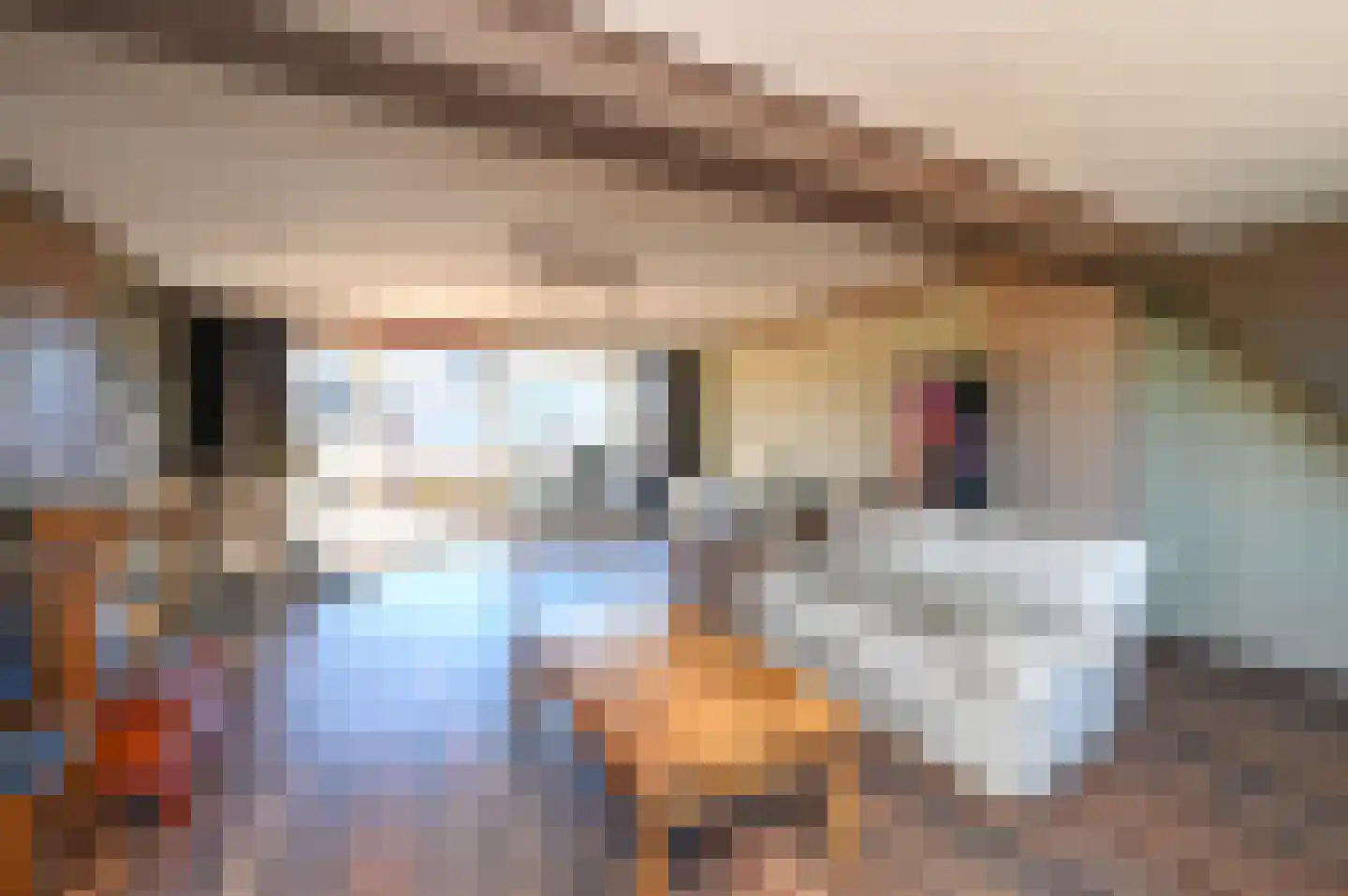 Rozenstraat 42 Rijswijk thumbnail 32