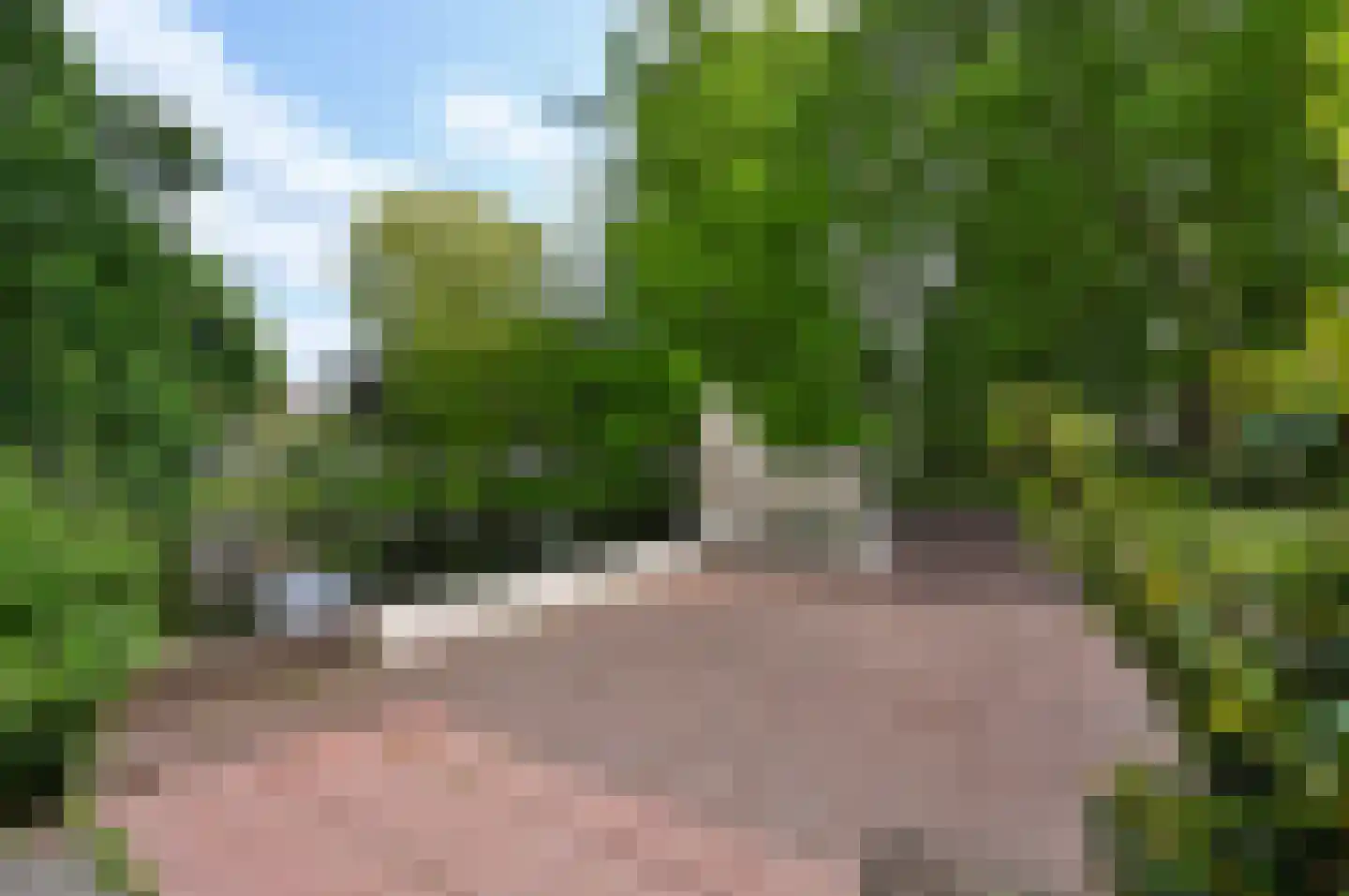 Rozenstraat 42 Rijswijk thumbnail 36