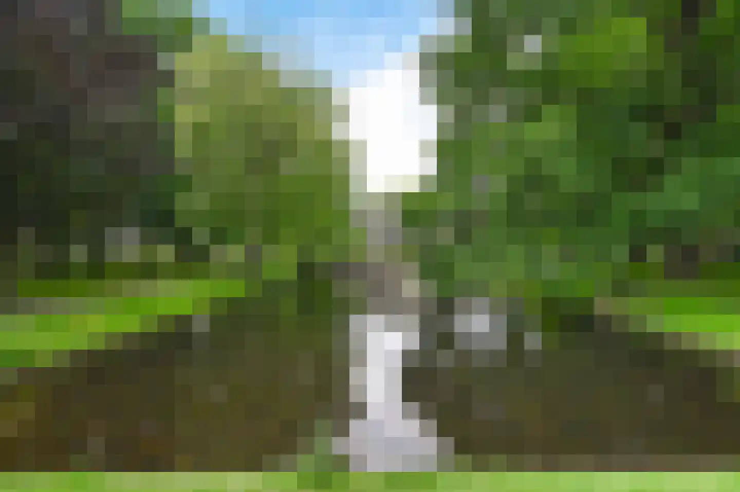 Rozenstraat 42 Rijswijk thumbnail 38