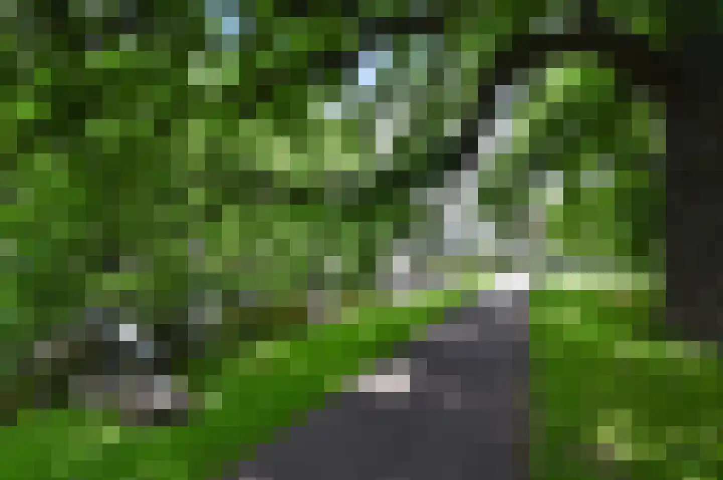Rozenstraat 42 Rijswijk thumbnail 39