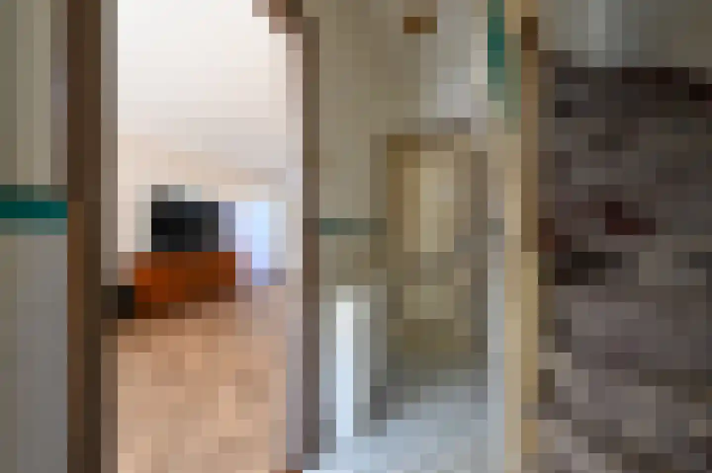 Rozenstraat 42 Rijswijk thumbnail 8