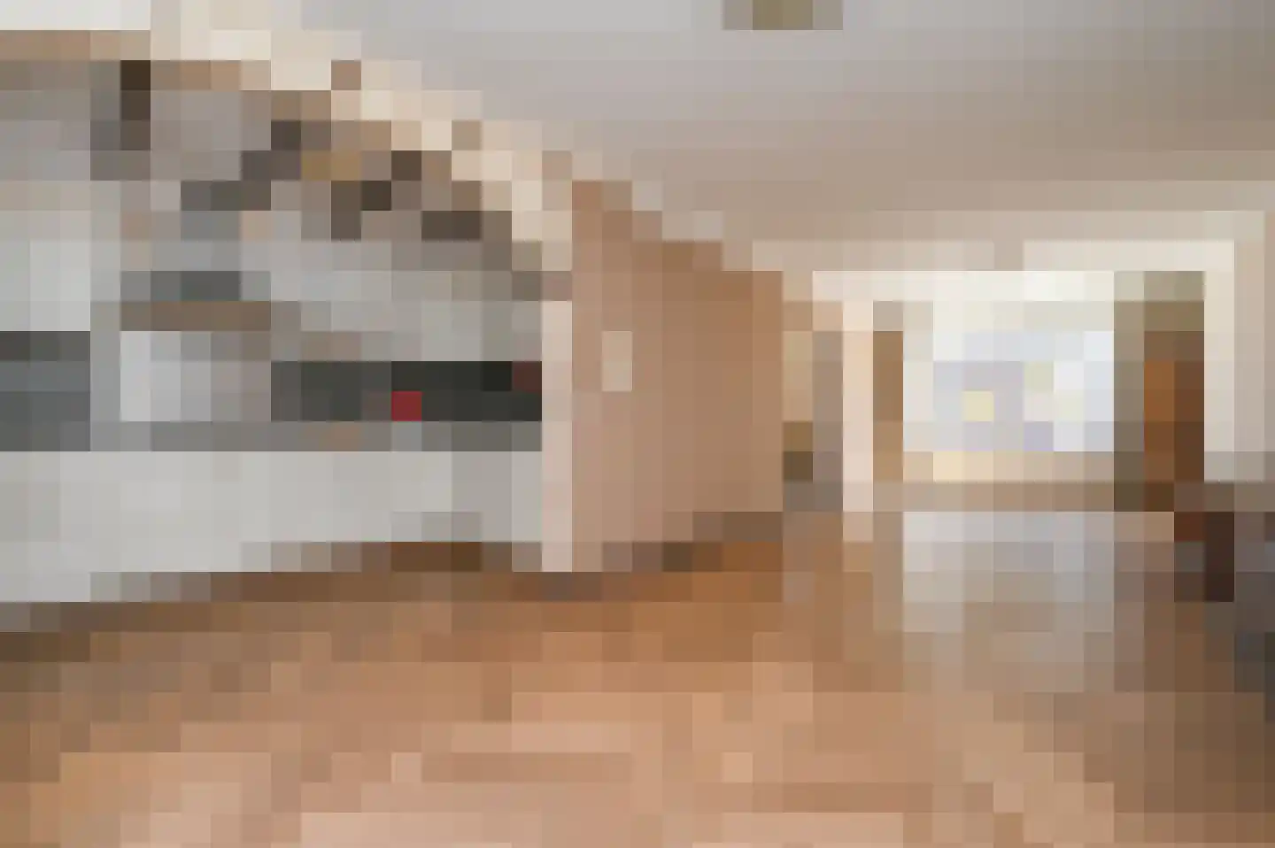 Rozenstraat 42 Rijswijk thumbnail 9