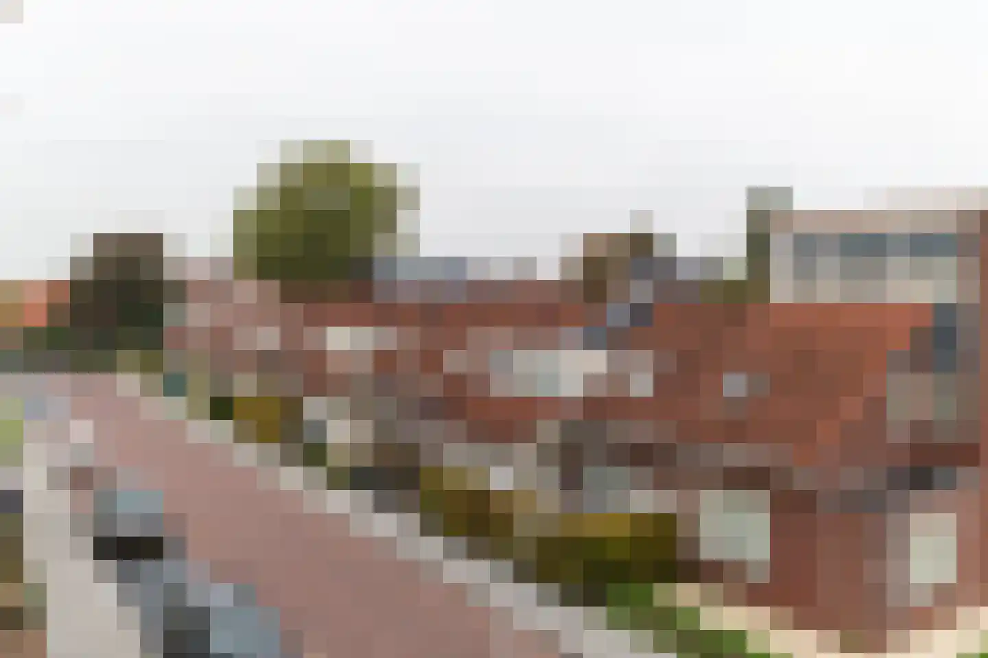 Rozenstraat 44 Aalsmeer thumbnail 11